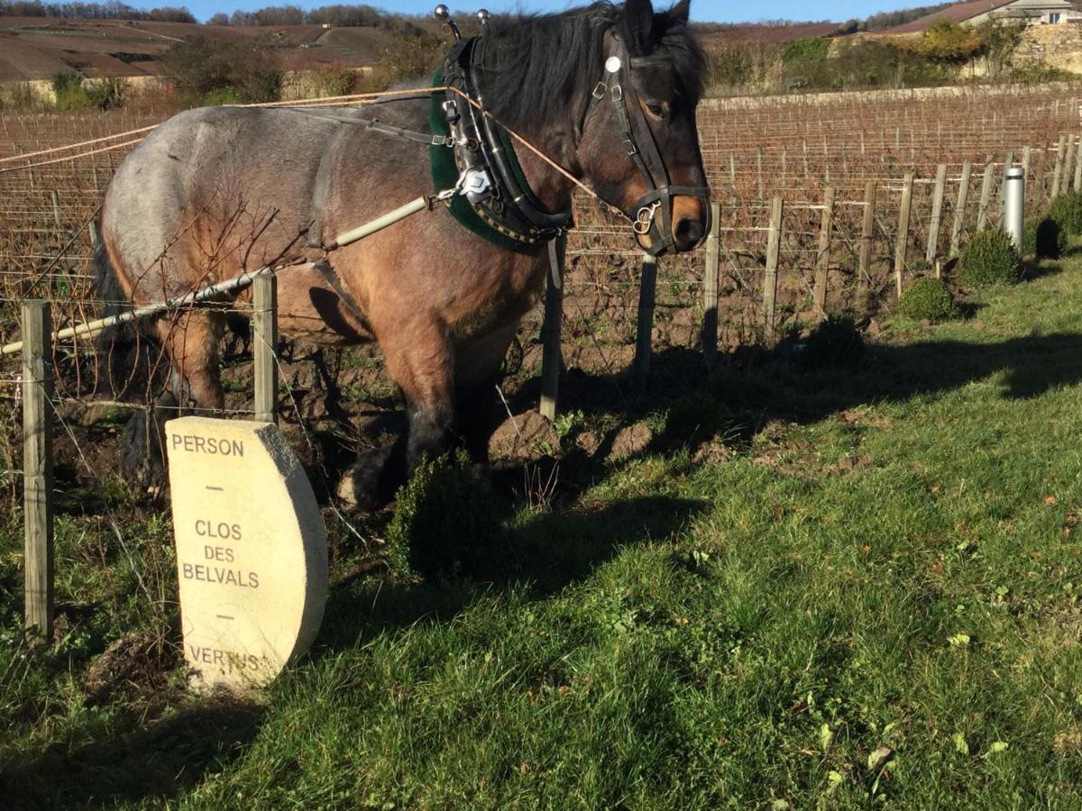Blancs-Coteaux Le Clos Des Belvals المظهر الخارجي الصورة