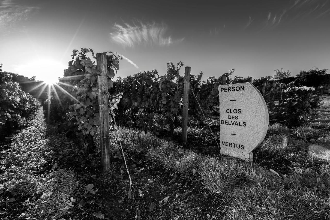 Blancs-Coteaux Le Clos Des Belvals المظهر الخارجي الصورة